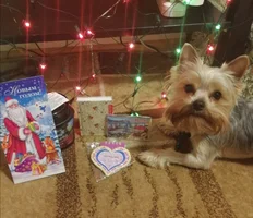 IMG_20191229_162352.webp IMG_20191229_162352.webp