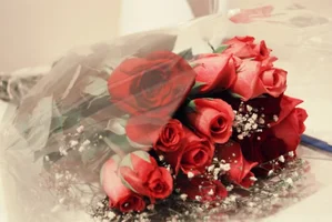 113379__roses_p.webp