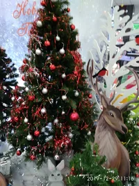 IMG_20191229_111652.webp