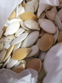 WhatsApp Image 2020-01-09 at 19.24.00 (1).webp