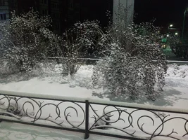 IMG_20191106_063549.webp IMG_20191106_063549.webp