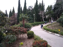 IMG_20200109_142113.webp IMG_20200109_142113.webp