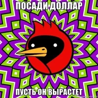 AsAlhzKAE48.webp AsAlhzKAE48.webp