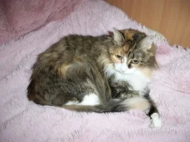 100_2742c.webp