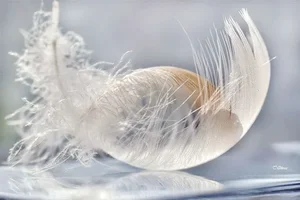 62008587_0_498b3_a2239dcc_XL.webp 62008587_0_498b3_a2239dcc_XL.webp