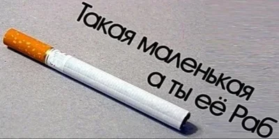 x_5e7db8ef.webp x_5e7db8ef.webp