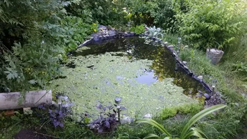 image-bd72b2cf86f33c545dbc1833bee6c030df869f577652d9c69c6b90777598e959-V.webp image-bd72b2cf86f33c545dbc1833bee6c030df869f577652d9c69c6b90777598e959-V.webp