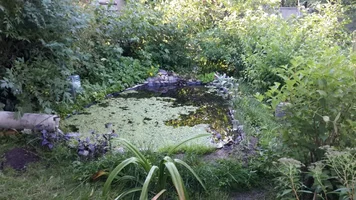 image-d34b5be02cd9af12a98e81bd351c43ac62d88dbf6f6c8e835e99b441a5e8712c-V.webp image-d34b5be02cd9af12a98e81bd351c43ac62d88dbf6f6c8e835e99b441a5e8712c-V.webp