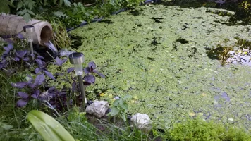 image-3317ad3e306c83ac204e194741e1ebab7d7a03c01d083423eeee1ff4ceed8add-V.webp image-3317ad3e306c83ac204e194741e1ebab7d7a03c01d083423eeee1ff4ceed8add-V.webp