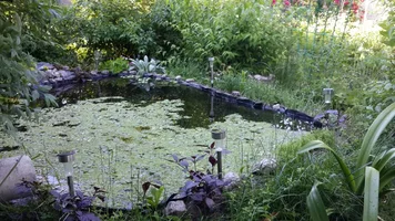 image-8eda94e269a7c85e95384e8181bbd4e355957cc1d98594c884bb83156a63c1ab-V.webp image-8eda94e269a7c85e95384e8181bbd4e355957cc1d98594c884bb83156a63c1ab-V.webp