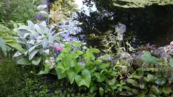 image-4d4ff3754e17d0a98fa7b6fb697503d5f861c1e131bd21d6b5f321834fa7a762-V.webp image-4d4ff3754e17d0a98fa7b6fb697503d5f861c1e131bd21d6b5f321834fa7a762-V.webp