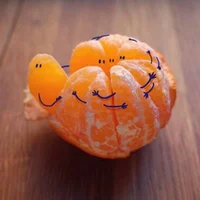 image - 2020-01-24T224305.946.webp