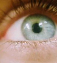 IMG_20200127_140210_153~2.webp IMG_20200127_140210_153~2.webp