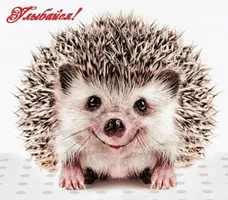 image - 2019-12-19T221123.417.webp