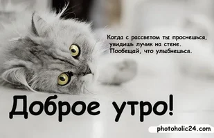 1245678216_3.webp 1245678216_3.webp