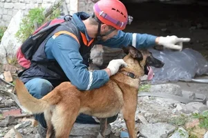 1580370221363.png 1580370221363.png