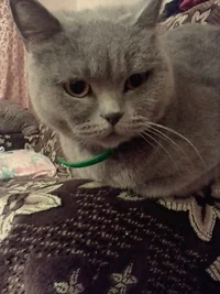 RvUTwNBzDPQ.webp RvUTwNBzDPQ.webp