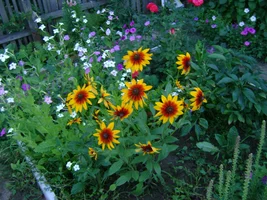 DSC01519.webp DSC01519.webp