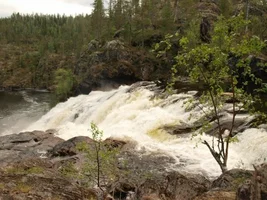 x_07b2ee0b.webp x_07b2ee0b.webp