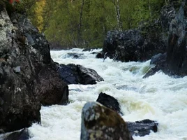 x_fe60625b.webp x_fe60625b.webp