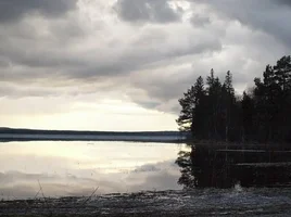 x_c2147dc1.webp x_c2147dc1.webp