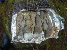 2018_0906_070520_001.webp 2018_0906_070520_001.webp