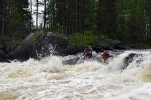 DSC_0246.webp DSC_0246.webp