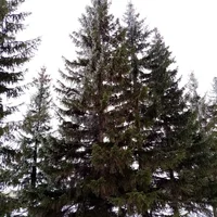 IMG_20200216_144207.webp IMG_20200216_144207.webp