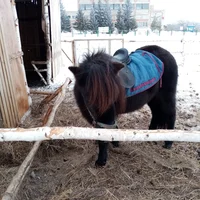 IMG_20200216_143759.webp IMG_20200216_143759.webp