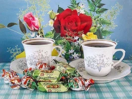 image.webp image.webp