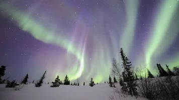 Northern Lights, Northwest Territories, Canada.webp