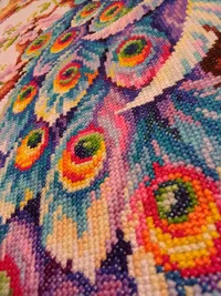 IMG_20200228_152931.webp IMG_20200228_152931.webp