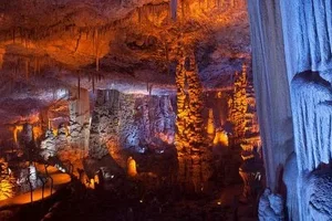 1583328033058.png 1583328033058.png