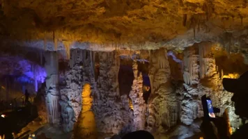 1583328101703.png 1583328101703.png