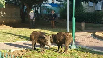 1583328316060.webp 1583328316060.webp