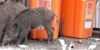 1583328425081.webp 1583328425081.webp