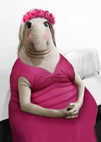 image - 2020-03-04T202936.521.webp