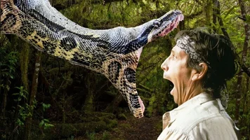 Dn4Lm08WkAEeEAo.jpg Dn4Lm08WkAEeEAo.jpg