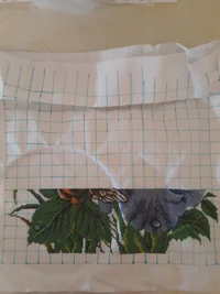 20200314_191731.webp 20200314_191731.webp