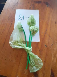 IMG-20200326-WA0004.webp IMG-20200326-WA0004.webp