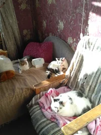 2020-03-27 16-20-28.webp