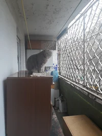 20200411_135344.webp 20200411_135344.webp