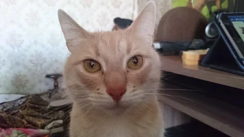 DSC_1237.webp DSC_1237.webp