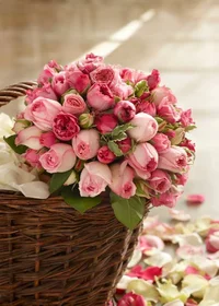 image (15).webp image (15).webp