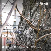 fitbitshare_1363229708.webp