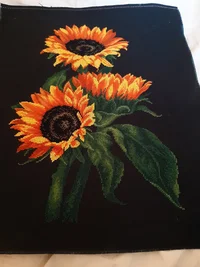 20200427_075830.webp 20200427_075830.webp