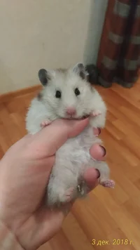 P_20181203_004357_vHDR_On.webp P_20181203_004357_vHDR_On.webp