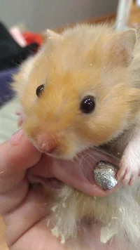 IMG-20190129-WA0014.webp IMG-20190129-WA0014.webp