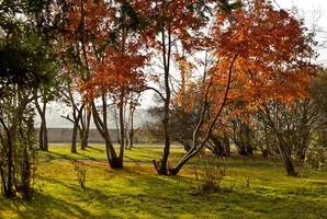 20101014-IMG_3902.webp 20101014-IMG_3902.webp