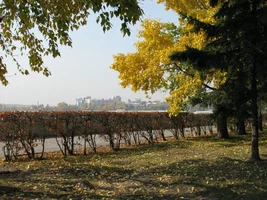 59478966.webp 59478966.webp